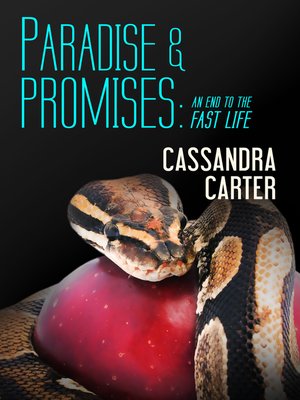 cover image of Paradise & Promises